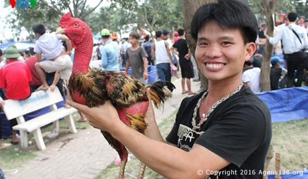 ayam saigon vietnam